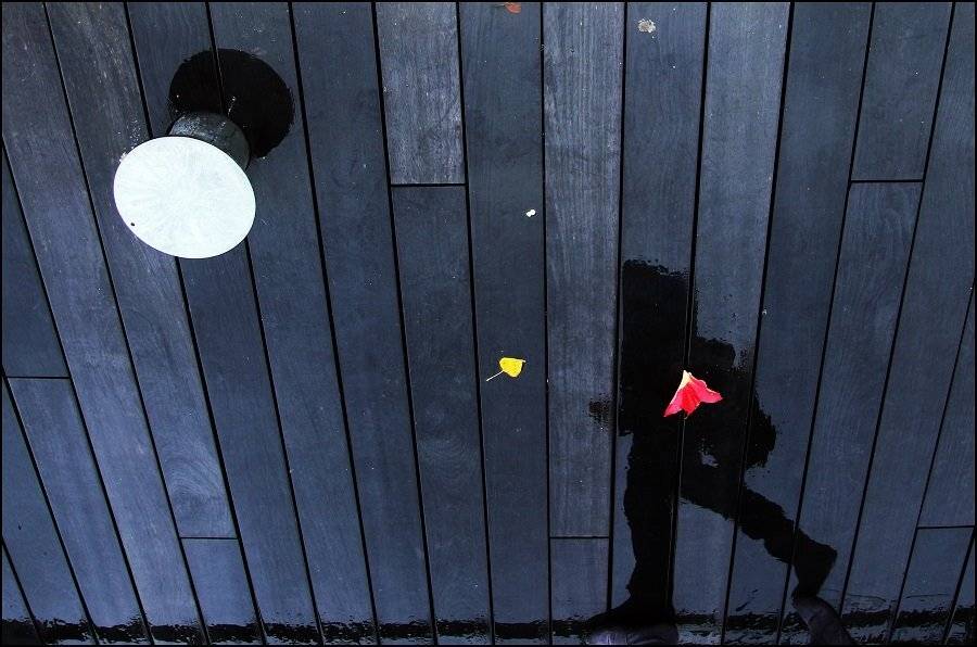 , Krzysztof Trojanowski