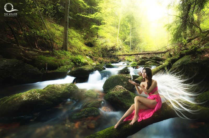 фото превью