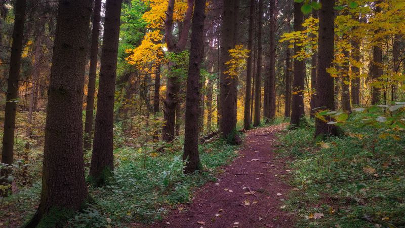 Осень фото превью