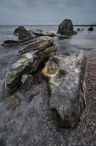 Морской череп