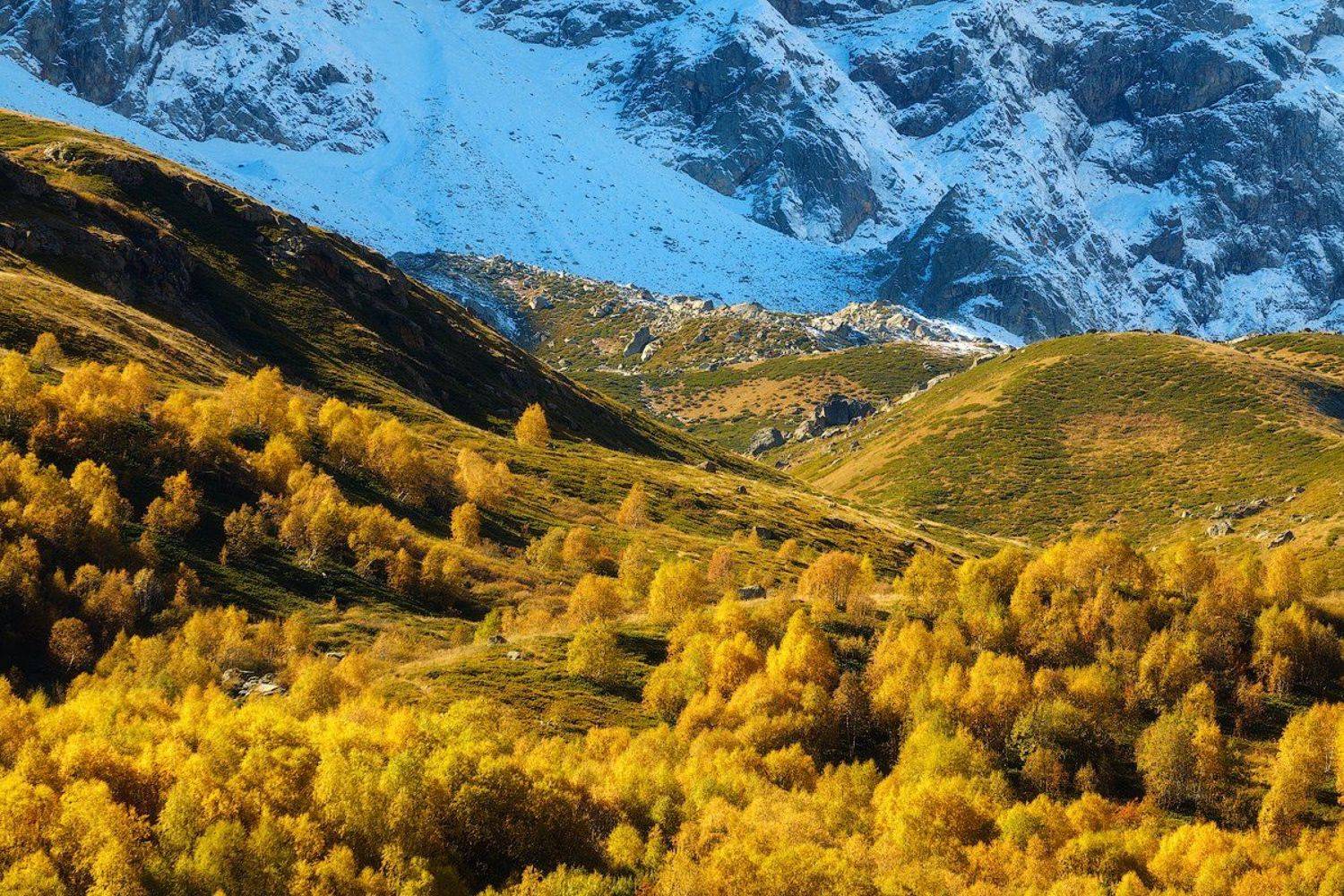 россия, кавказ, северная осетия, дигория, пейзаж, природа, ущелье, горы, хребет, рассвет, осень, снег, лес, Оборотов Алексей