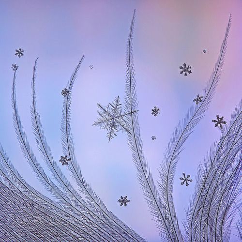 Снежный калейдоскоп