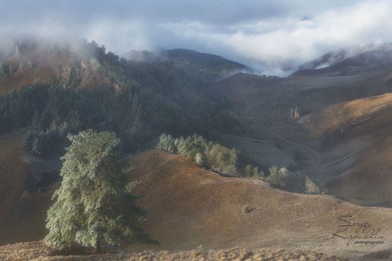 кавказ, ингушетия, заповедник эрзи Посеребрило утро горную долину... фото превью