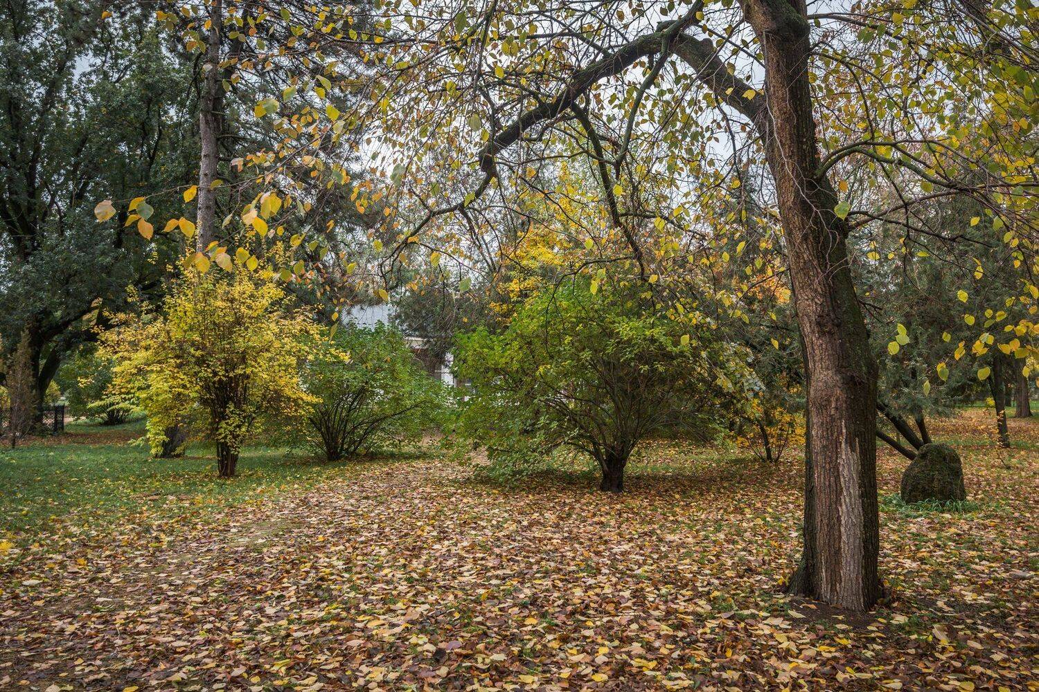 , Юрий Пужалин