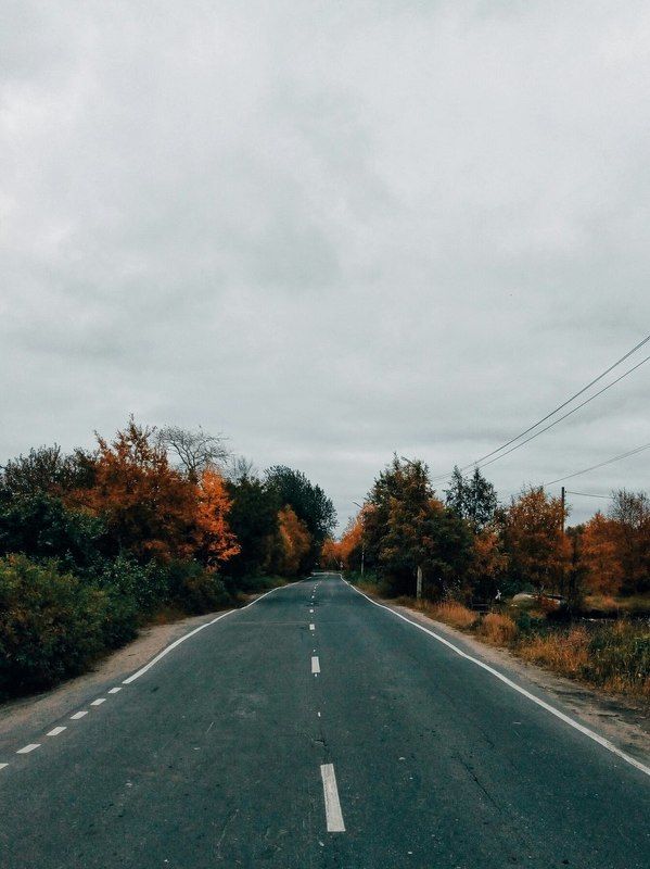 #trave #красота #природа #путешествия #утро #красивыеместа #рассвет #discovery #World #dream #moments #моментыжизни #путешествие #beauty #живаяпланета #красивыйвид #красивыеместа #travelerbest #пейзажи #мирвокругнас#вокругсвета #openworld #соловки #россия Рабочая осень фото превью