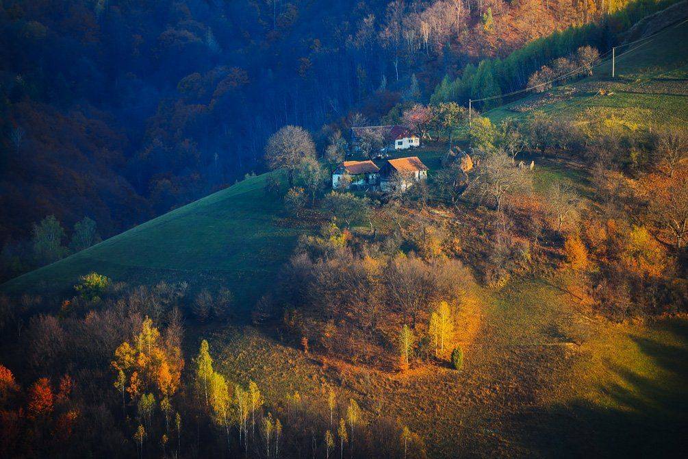 , Stefan Chirobocea