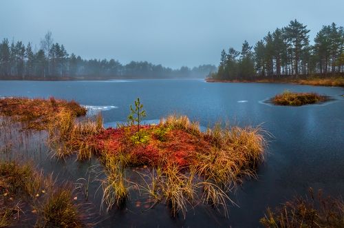 Осенний островок