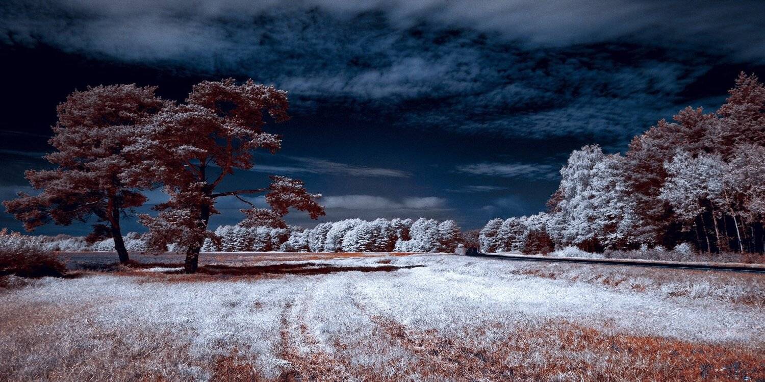 infrared,ик-фото,инфракрасное фото,инфракрасная фотография,пейзаж,природа,беларусь,лето, Sixten ( Сергей )