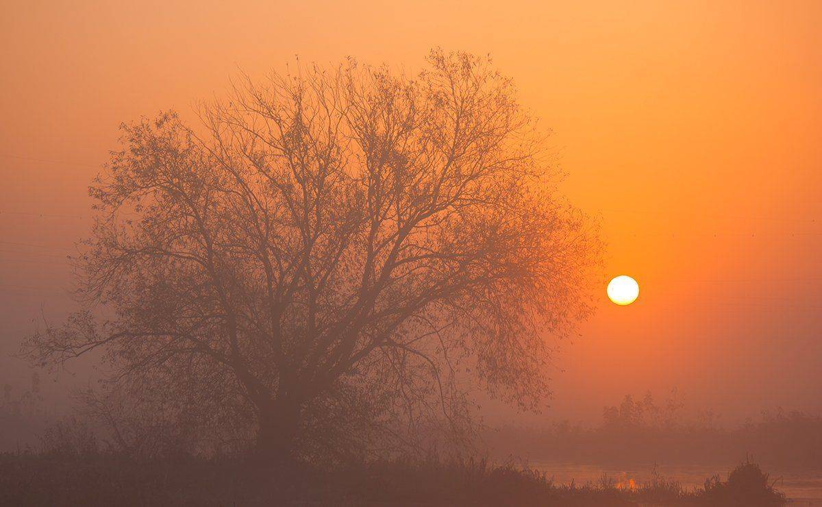 , Pawel Plucinski