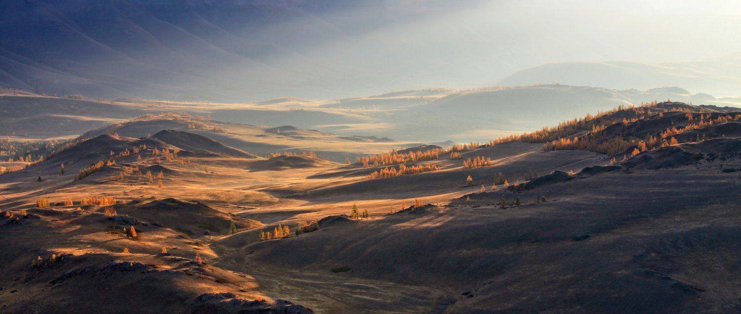 алтай, горный алтай, курай, осень, утро, Галина Хвостенко