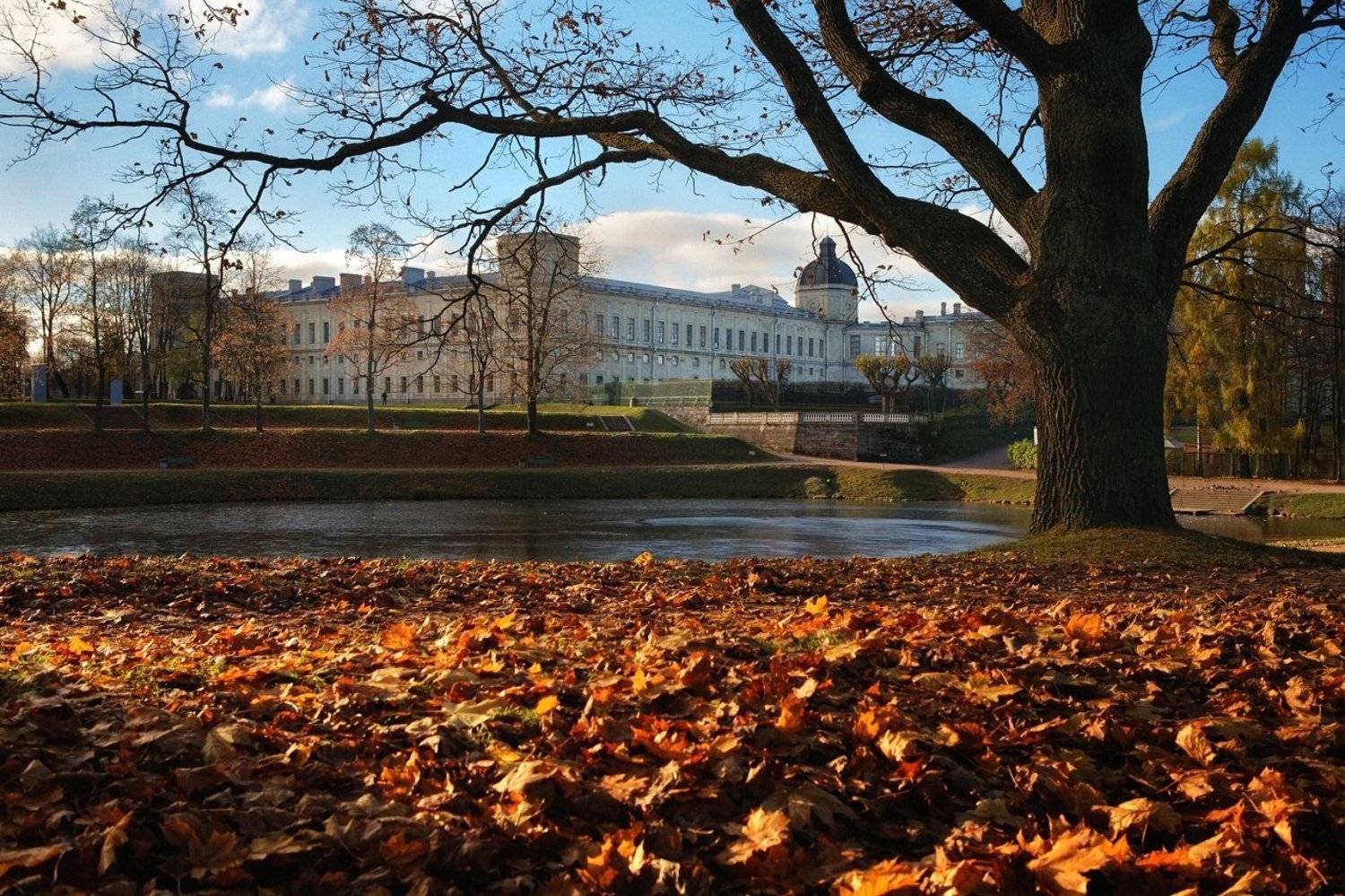 санкт-петербург, осень, гатчина, октябрь, Лопухов Сергей