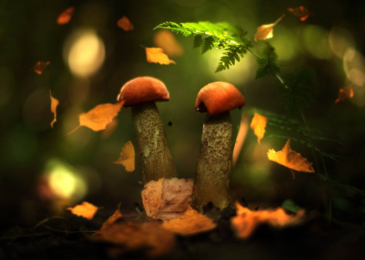 , Вадим Морозов