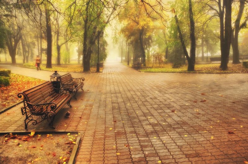 По дороге на работу фото превью