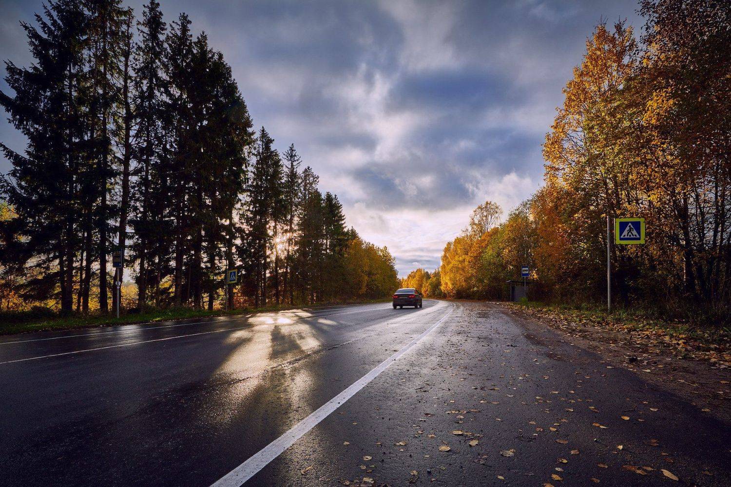 autumn, road, car, leaves, sunset, Антон Кононов