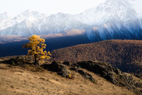 На контрастах