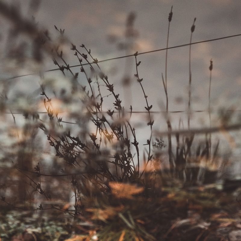 вторая весна по Камю фото превью