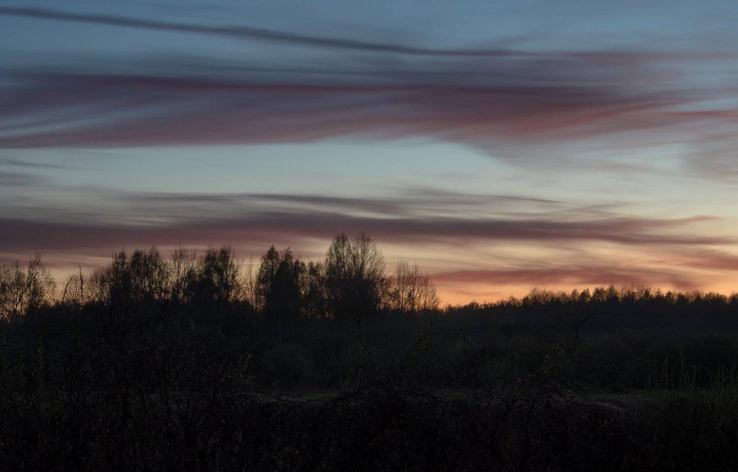 вечер, закат, облака, выдержка, лес, сумерки, свет, тишина, тяга, спокойствие, лотошино, Ксения Соварцева