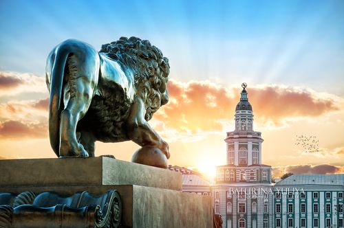 Лев и Кунсткамера