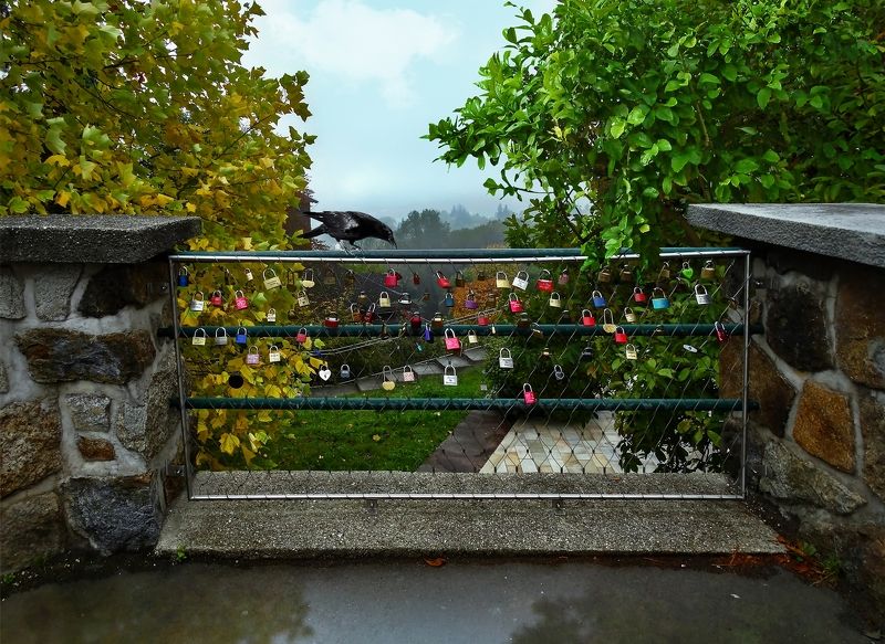 Destiny фото превью