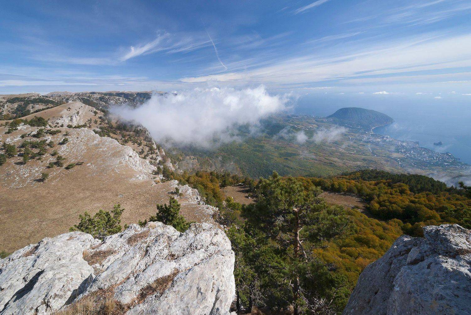 , Саша  Вайсберг / Waldschnepfe /