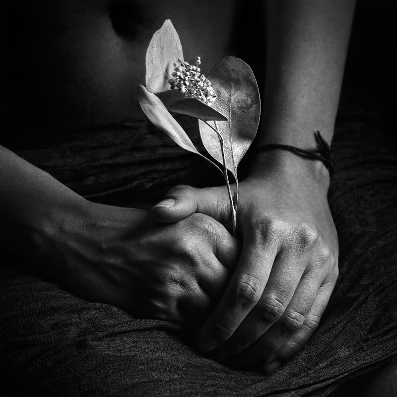 Руки фото превью