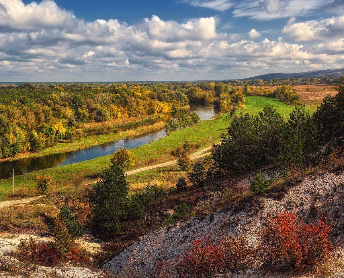 , Игорь Мелекесцев