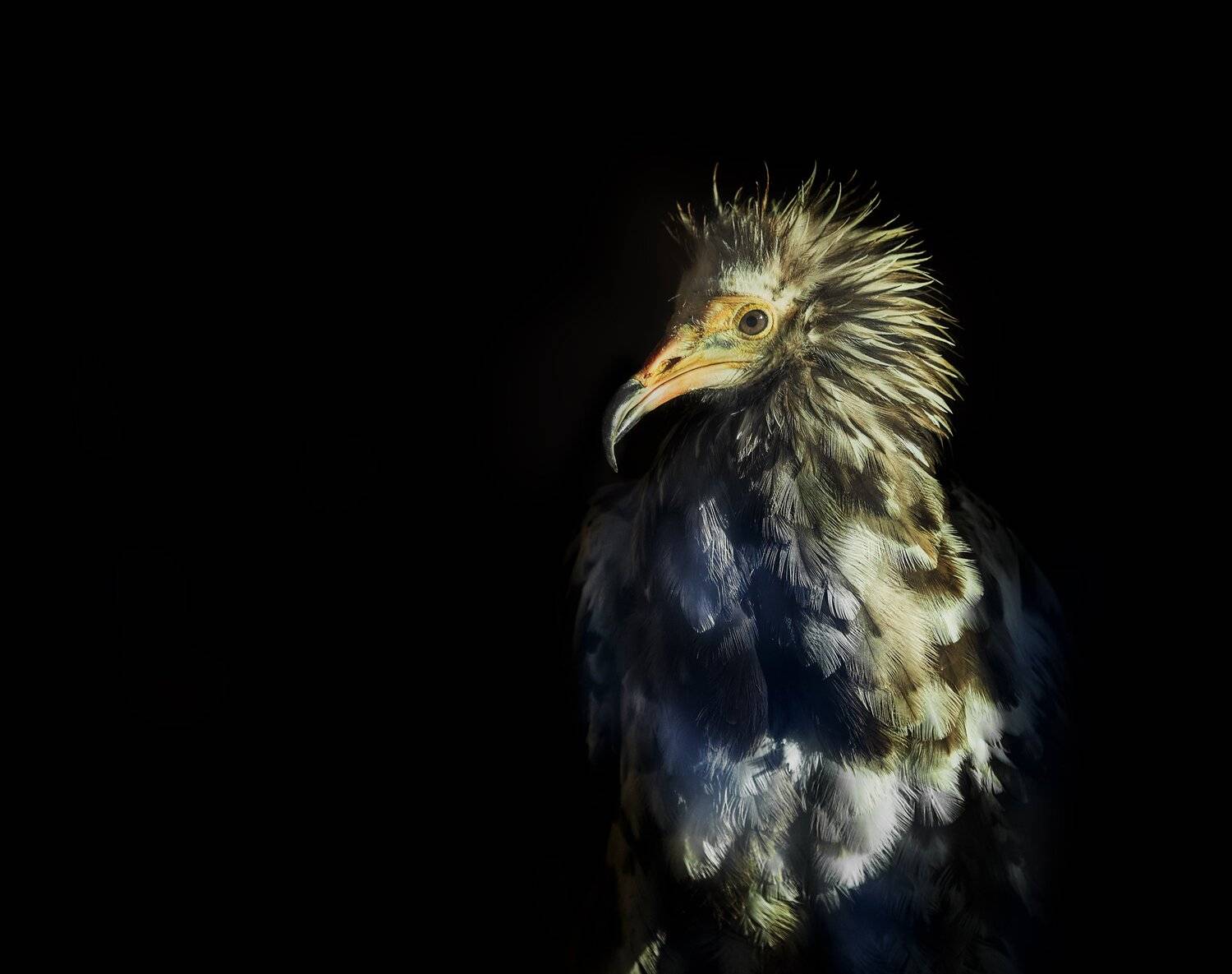 , Олег Богданов