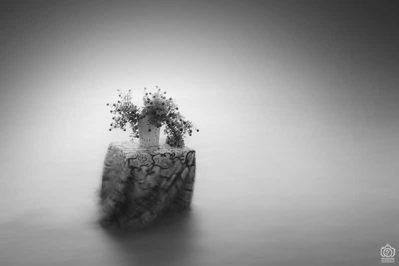 tablecloth , dance , wind , sea , longexposure , fog , flower , canon , canon80d , dream , dreamly , blackandwhite , art Dance of Tablecloth in The Wind And The Sea фото превью