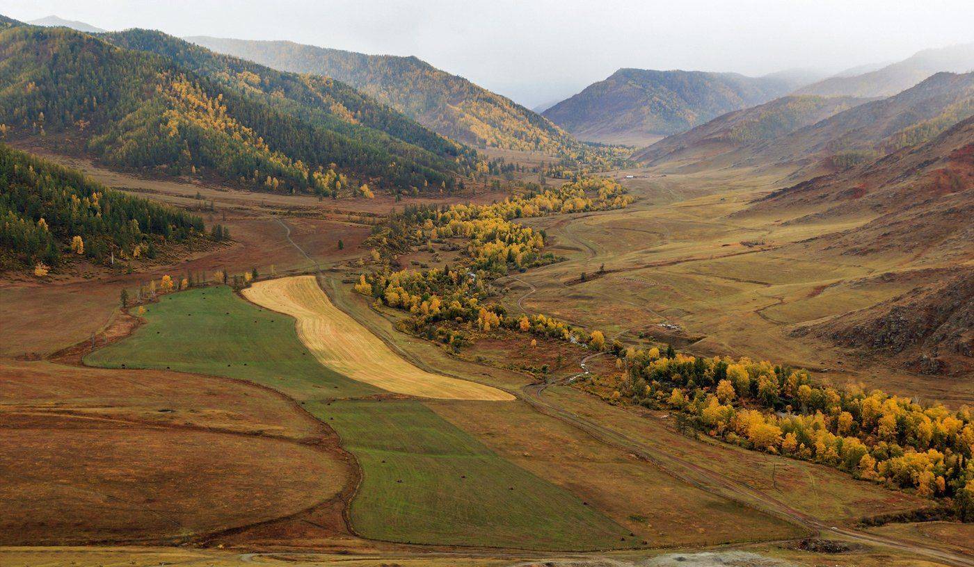 , Дмитрий Д.