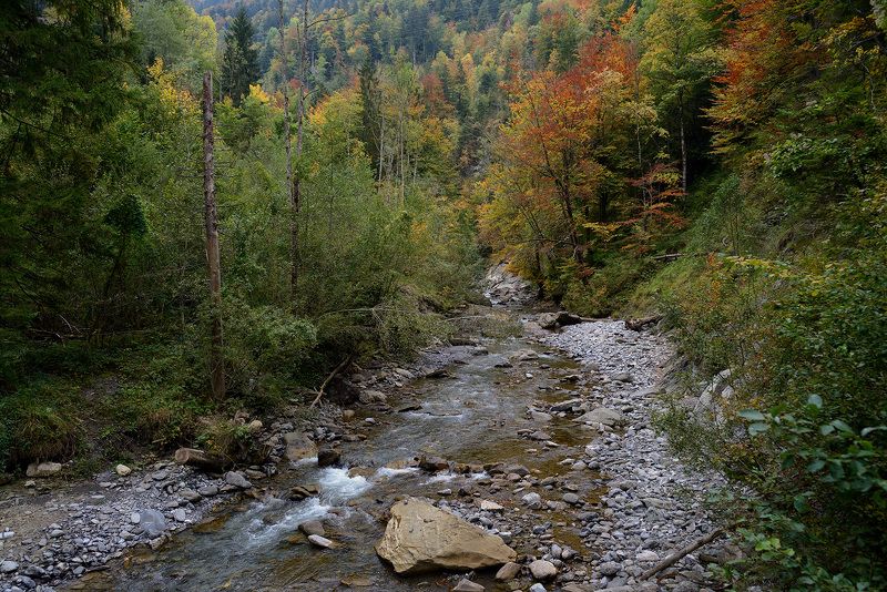 р. мельха, обвальден, швейцария прелюдия осени фото превью