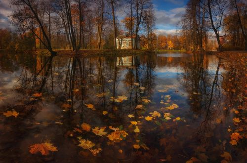 Осень улыбается:)