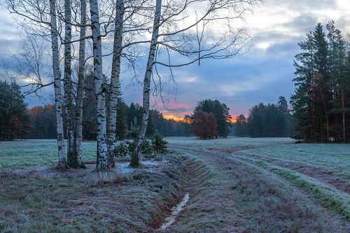 Заря, ещё синеют сумерки