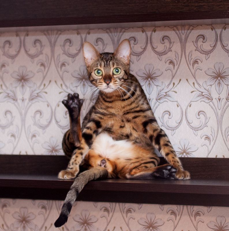 mr.filler Приветствую вас люди :) фото превью