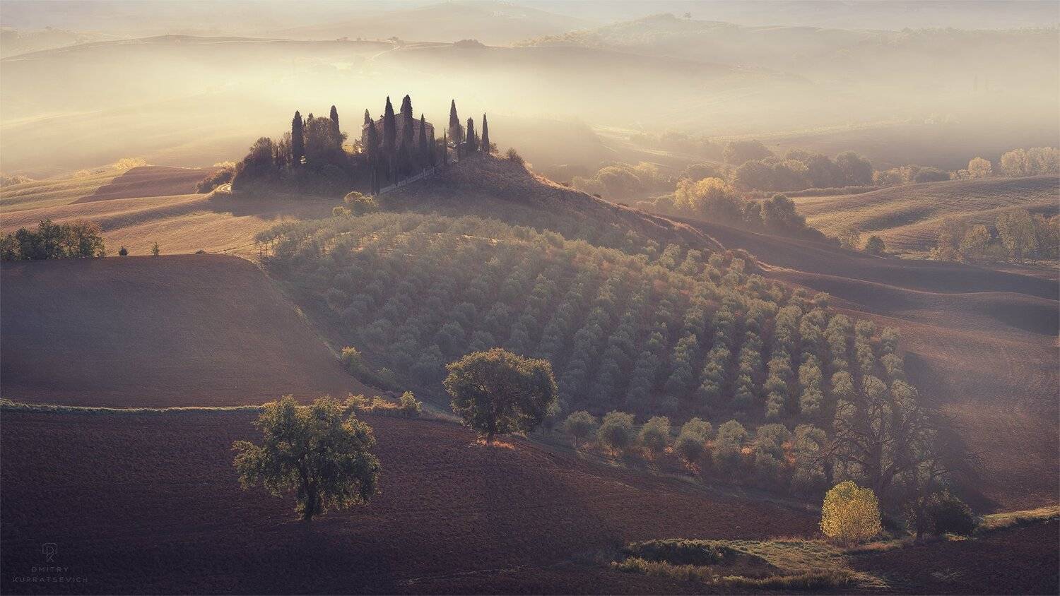 , Дмитрий Купрацевич