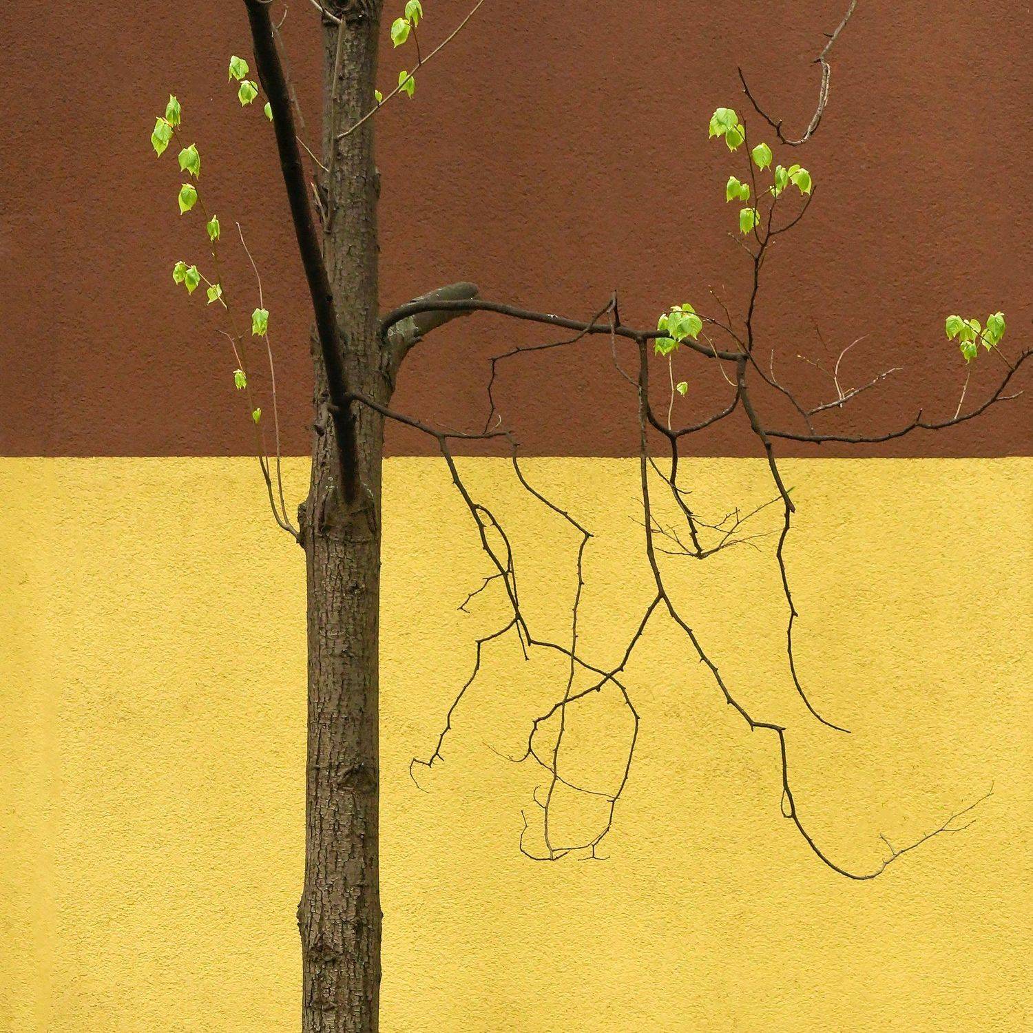 весна, Eвгений