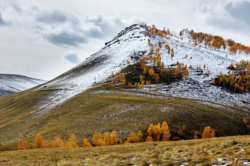 Осенние холмы