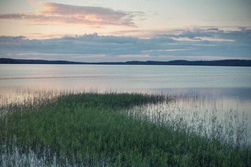 карелия Вечерний бриз фото превью