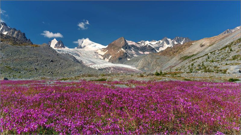 Лето у Софийского ледника фото превью