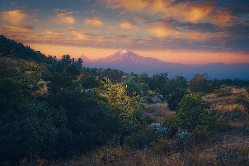 Арарат в утренних лучах Солнца фото превью