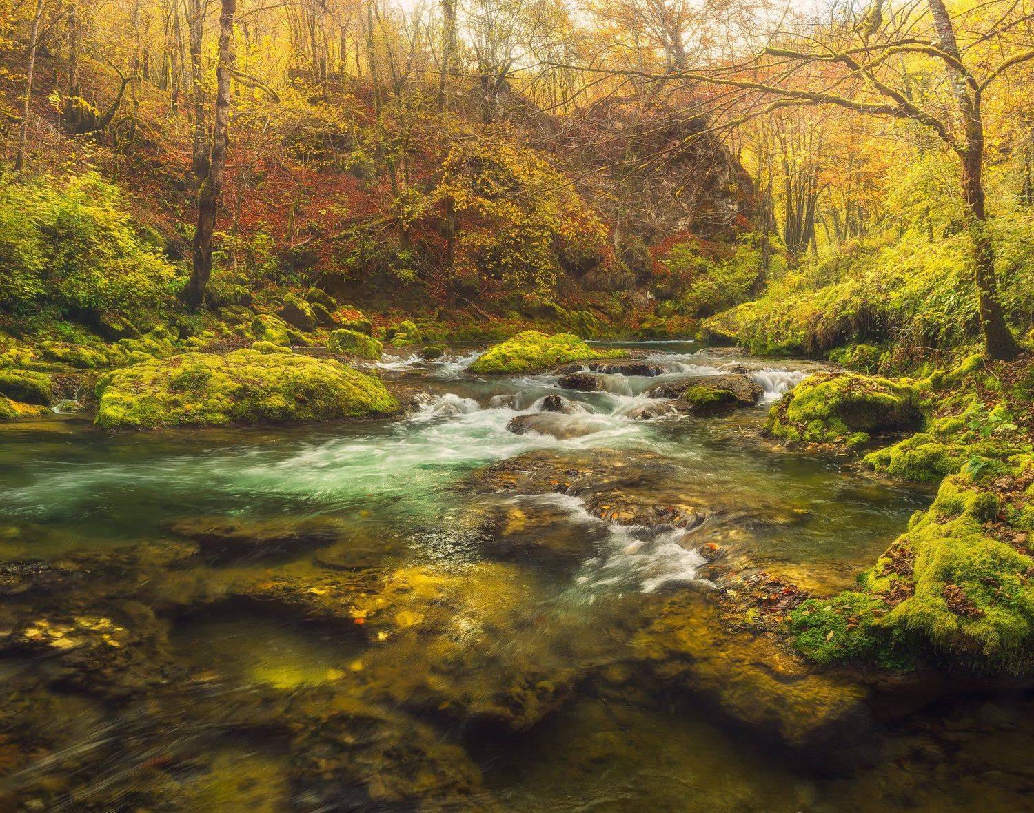 , Бахышев Сафар