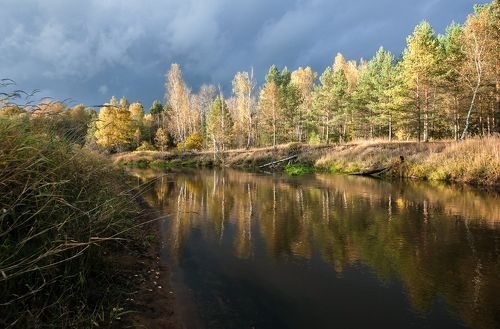 Pro осень и её отражения