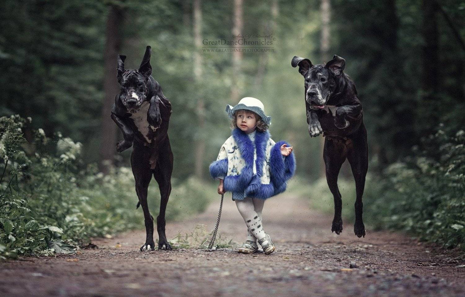 , Андрей Селиверстов