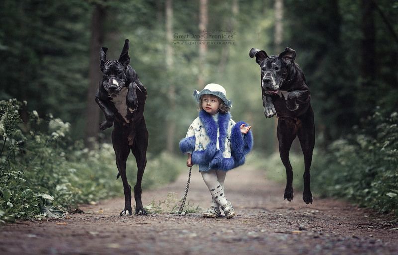 Once upon a time in a dark forest path фото превью