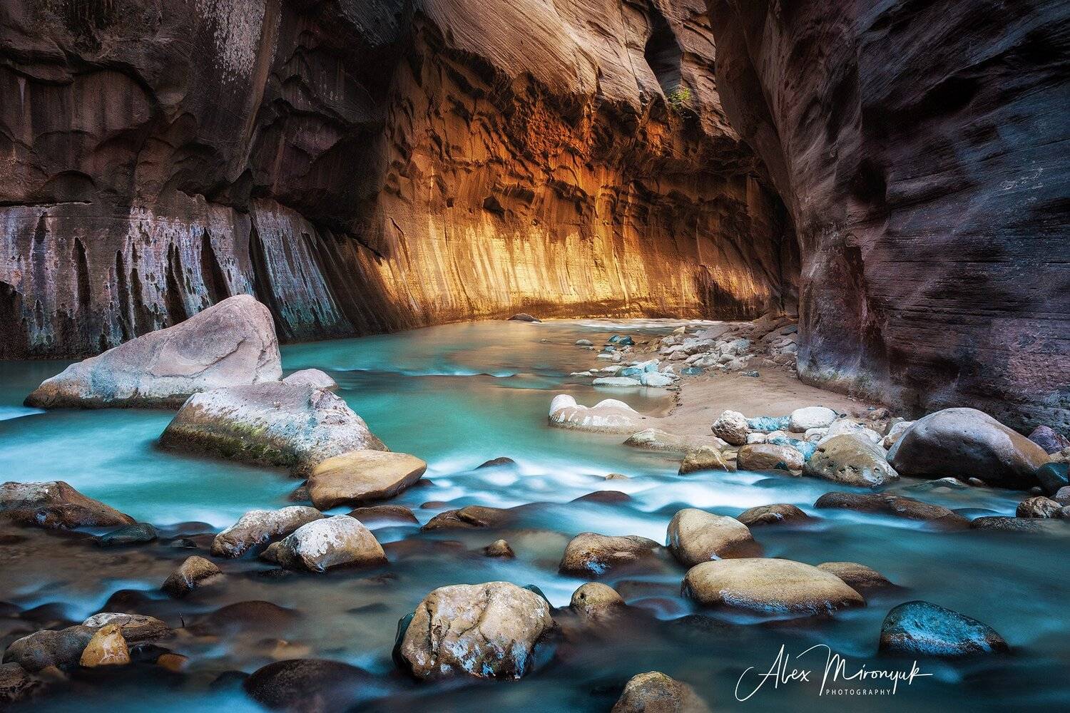 каньон, Зайон, США, Юта, река, свет, отражение, , Alex Mironyuk