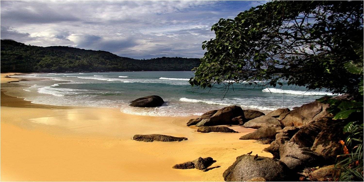 , Дмитрий Алексеев