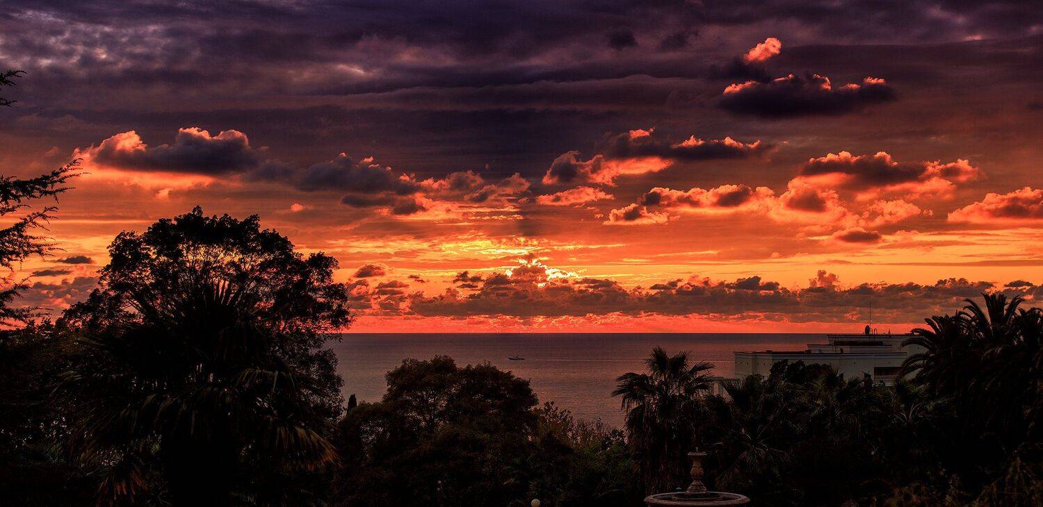 сочи, закат, облака, море, пальмы, Сергей Найбич