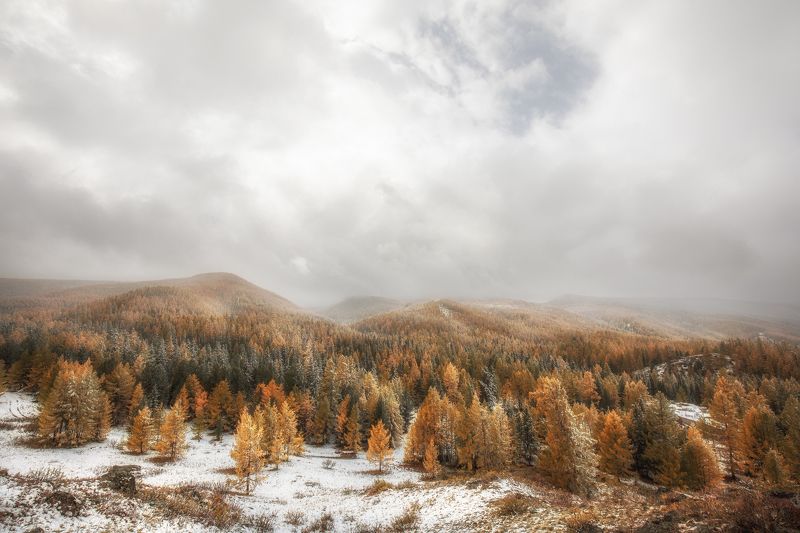 алтай, осень Холмы заснеженного алтая фото превью