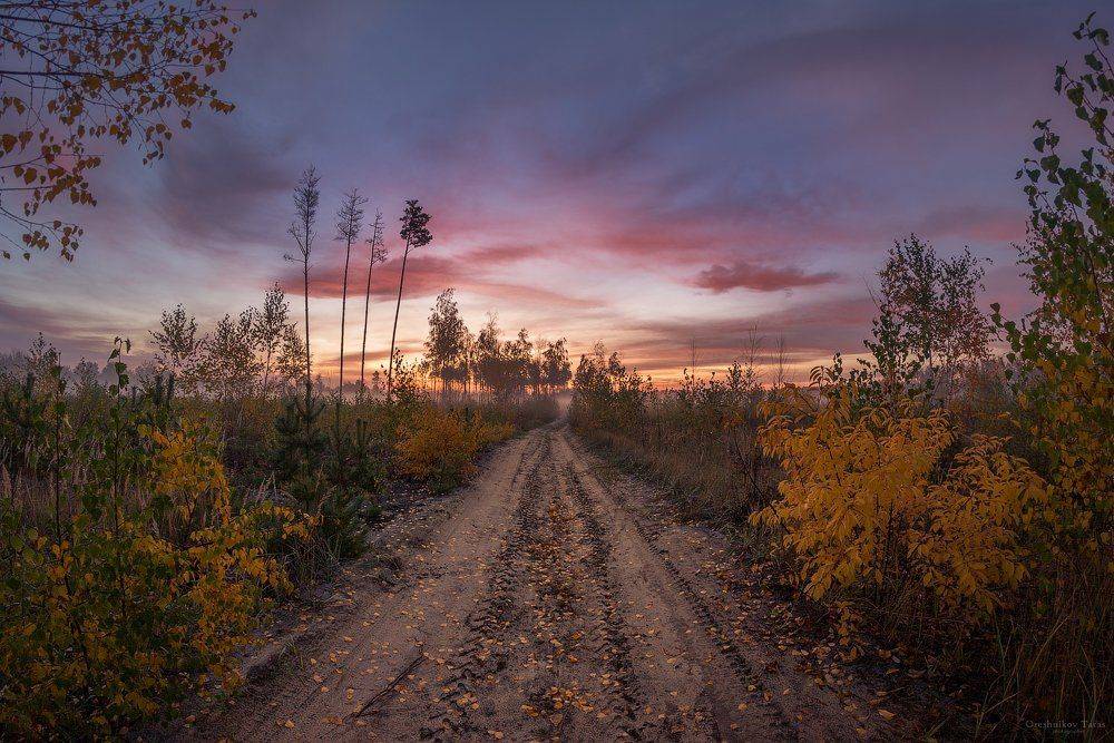 пейзаж,природа,утро,осень,настроение, Taras