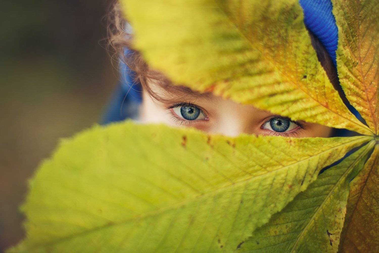 , Екатерина Крыга