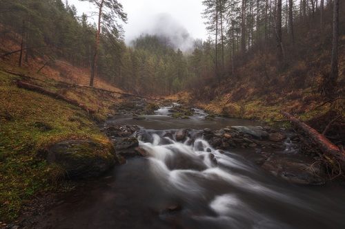 Хмурое Алтайское утро